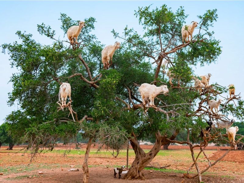 Circuit Entre Mer et Désert pas cher photo 12