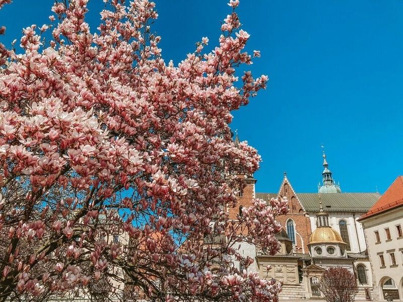 Autotour Balade en Pologne pas cher photo 5