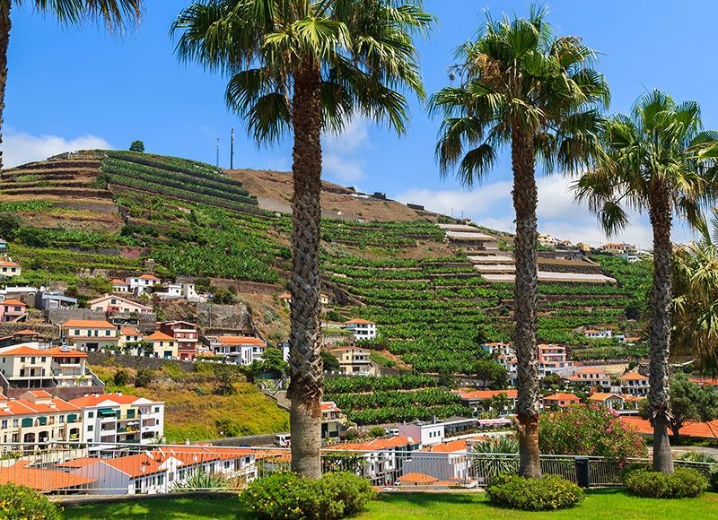 Circuit Aventuriers de Madère + Vila Gale Santa Cruz 4* pas cher photo 10