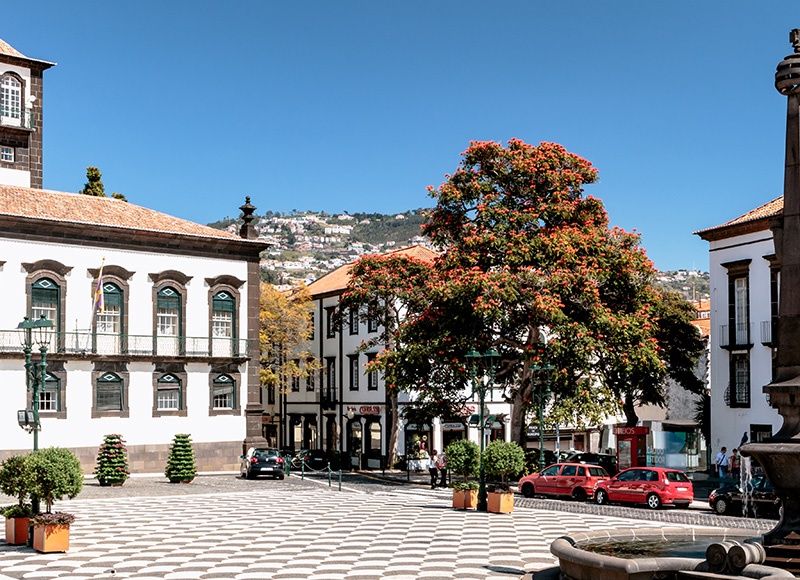 Circuit Aventuriers de Madère + Vila Gale Santa Cruz 4* pas cher photo 11