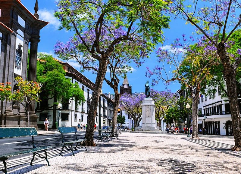 Circuit Aventuriers de Madère + Vila Gale Santa Cruz 4* pas cher photo 12