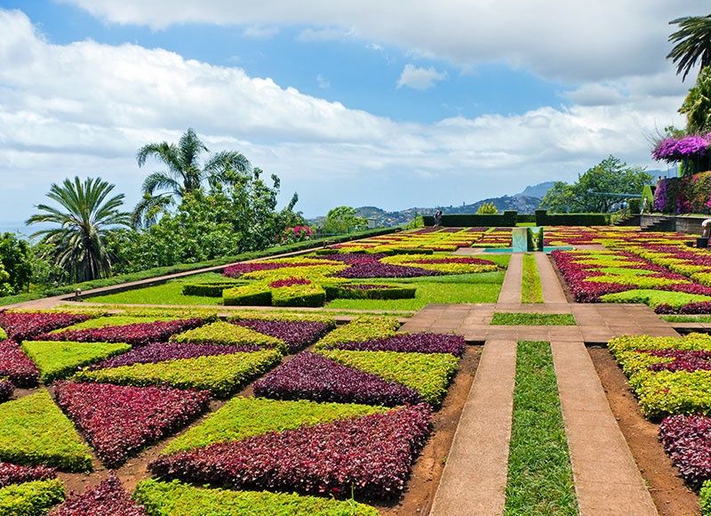 Circuit Aventuriers de Madère + Vila Gale Santa Cruz 4* pas cher photo 13