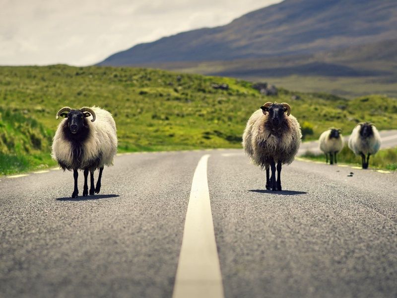 Autotour Sur la route Irlande Hôtels et B&B pas cher photo 2