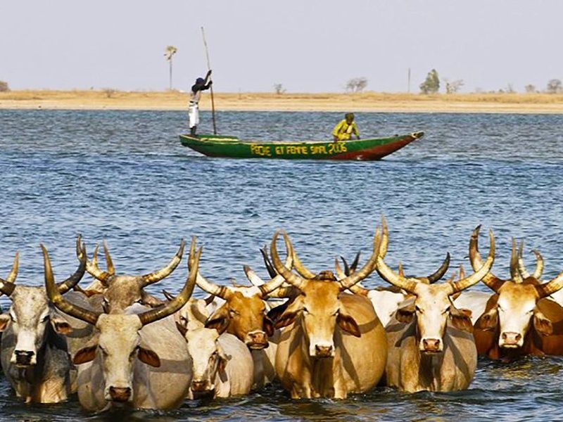 Balade Sénégalaise 3* pas cher photo 3