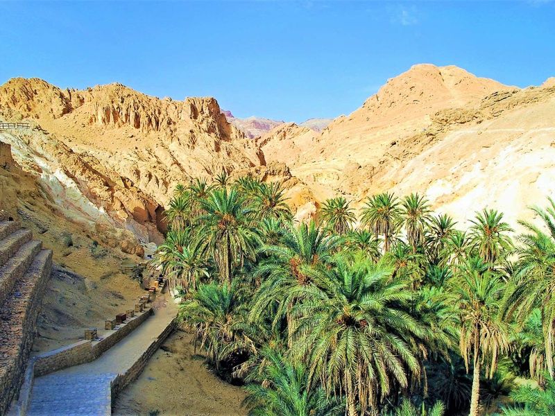 Circuit Mer & Oasis - 8J/7N pas cher photo 4