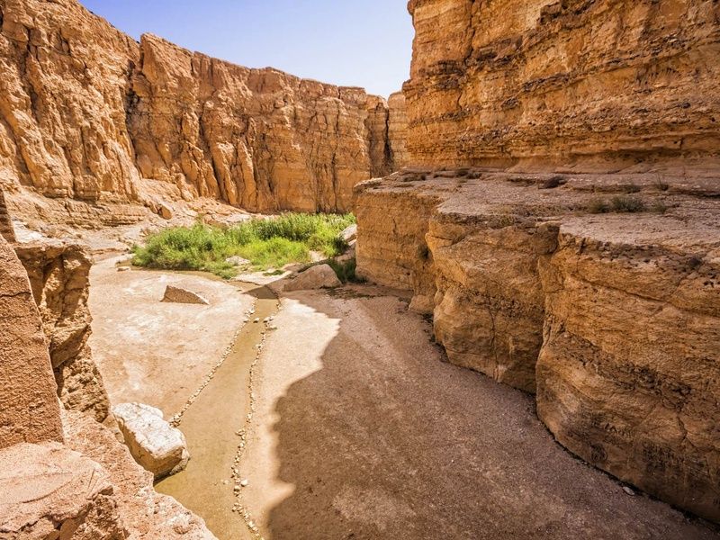 Circuit Mer & Oasis - 8J/7N pas cher photo 5