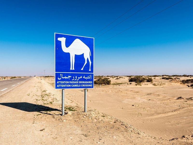 Circuit Mer & Oasis - 8J/7N pas cher photo 6