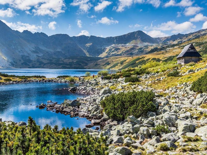 Autotour sur la route : La Pologne classique pas cher photo 3