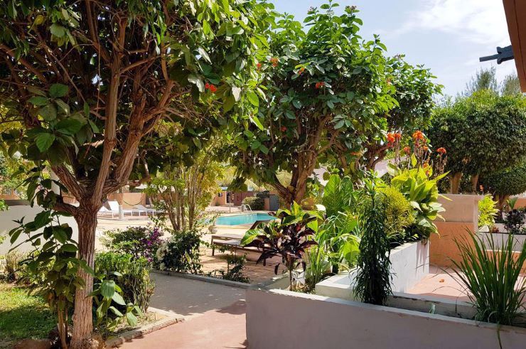 Circuit Oasis du Sénégal pas cher photo 6