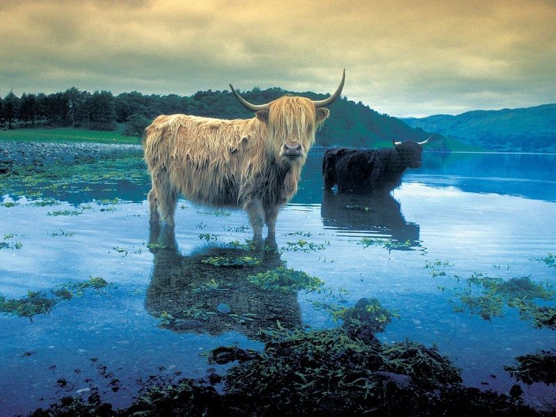 Autotour Sur la route : Les beautés Ecossaises pas cher photo 1