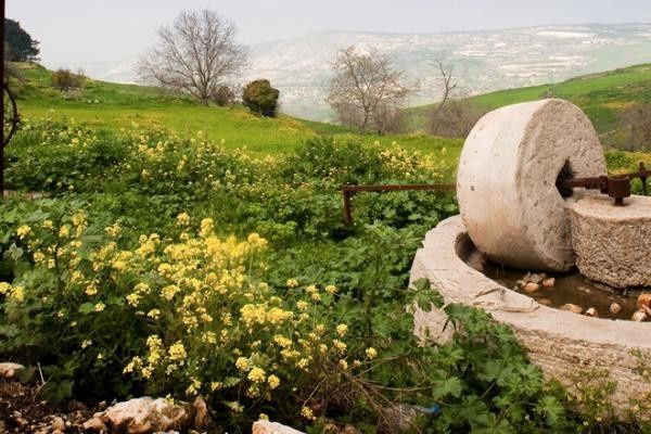 Circuit Trésors de Chypre 3* pas cher photo 3