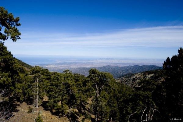 Circuit Trésors de Chypre 3* pas cher photo 6