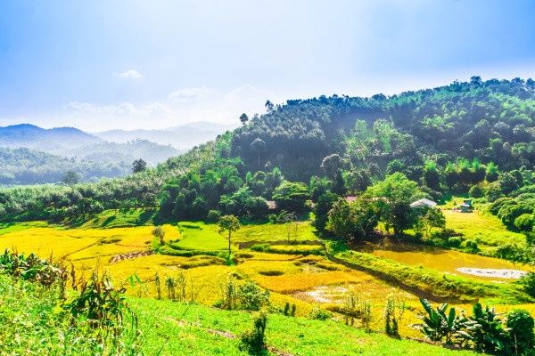Circuit Beautés du Siam pas cher photo 19