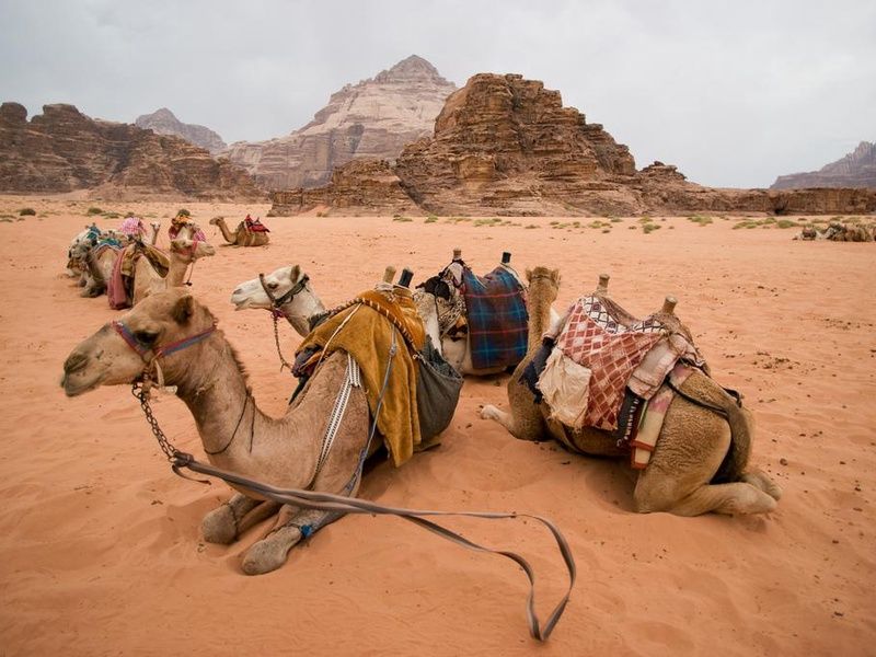Circuit Paysage Nabatéens 3* pas cher