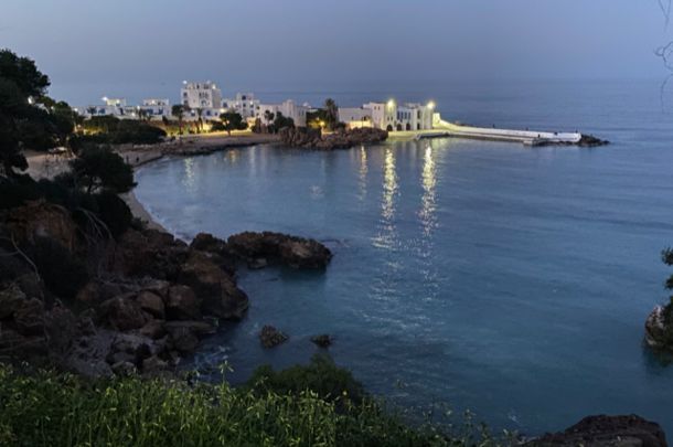 Circuit Alger la Blanche et escale à Tipaza pas cher photo 12