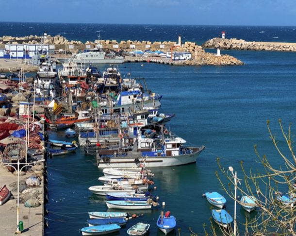 Circuit Alger la Blanche et escale à Tipaza pas cher photo 13