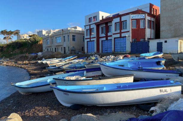 Circuit Alger la Blanche et escale à Tipaza pas cher photo 14