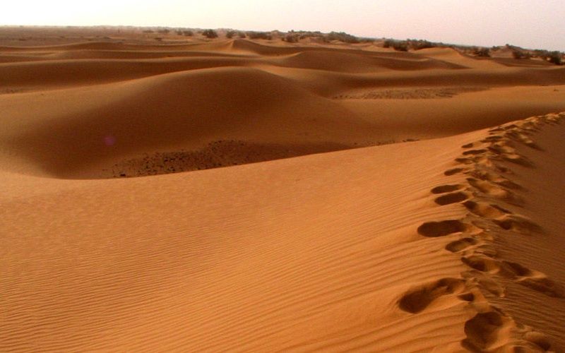 Circuit Coralia Le Sud Marocain en 4x4 & Extension Kappa Club Iberostar Founty Beach Agadir 4* pas cher photo 8