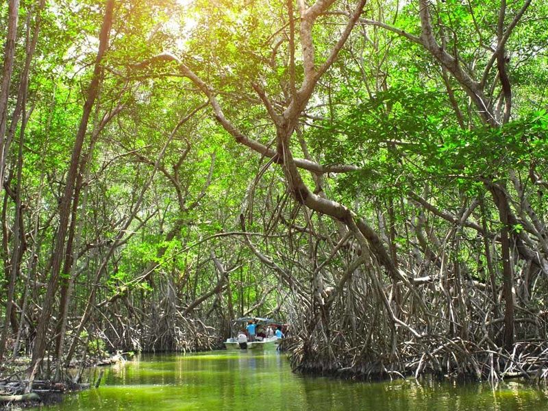 Autotour Merveilles du monde Maya pas cher photo 8