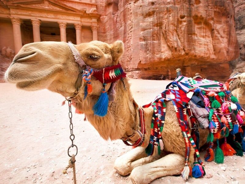 Circuit l'essentiel de la Jordanie pas cher photo 5