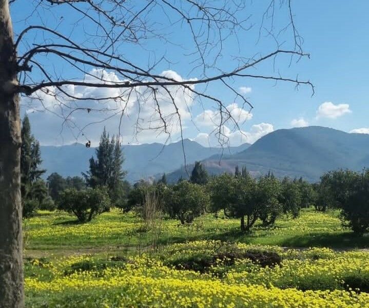 Circuit La Kabylie montagneuse pas cher photo 3