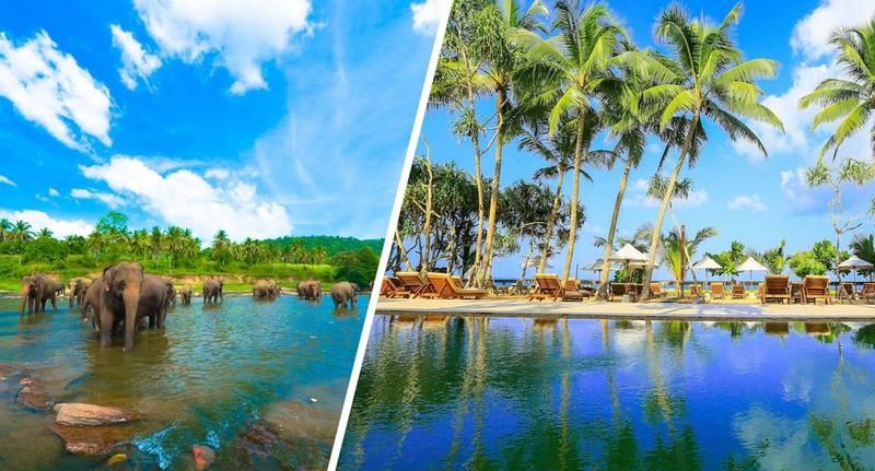 Circuit Balade Sri Lankaise privative et Oclub Experience Pandanus beach resort Spa 5* pas cher photo 1