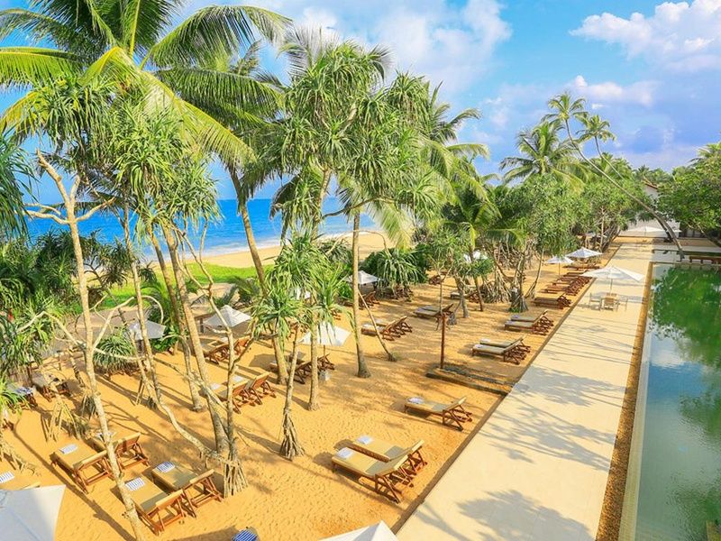 Circuit Balade Sri Lankaise privative et Oclub Experience Pandanus beach resort Spa 5* pas cher photo 6