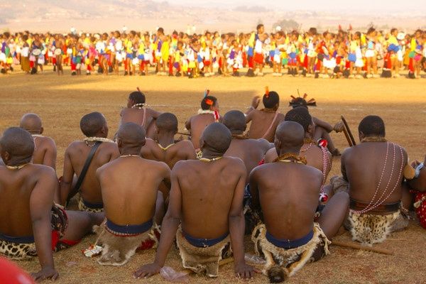 Circuit A la découverte de l'Afrique du Sud pas cher photo 12