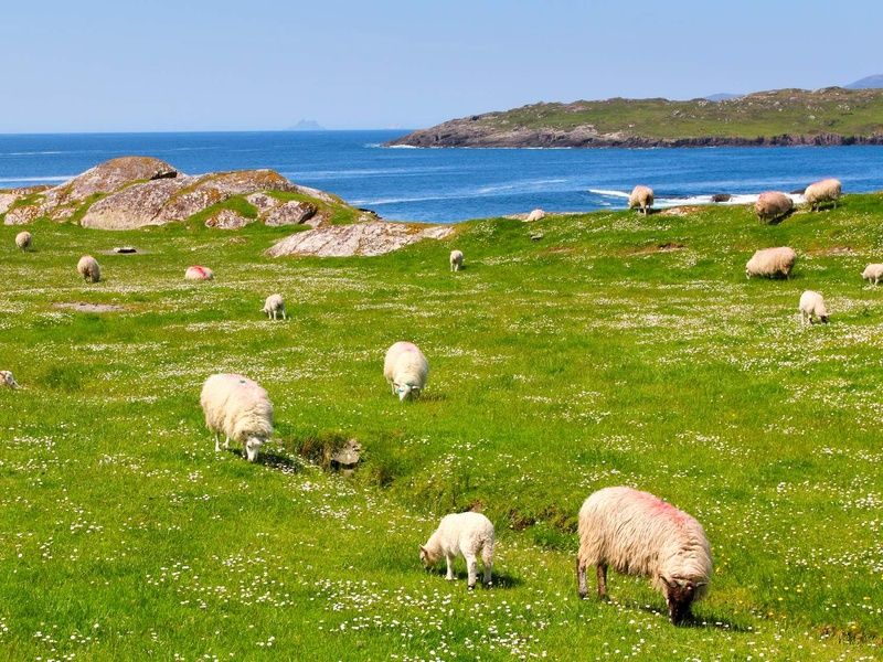 Autotour Sur la route : Grand tour d'Irlande pas cher photo 5