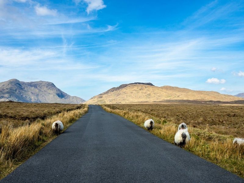 Autotour Sur la route : Grand tour d'Irlande pas cher photo 8