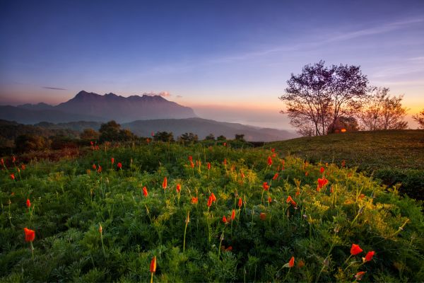 Circuit Thaïlande Insolite, Rencontre avec les Tribus du Nord pas cher photo 31