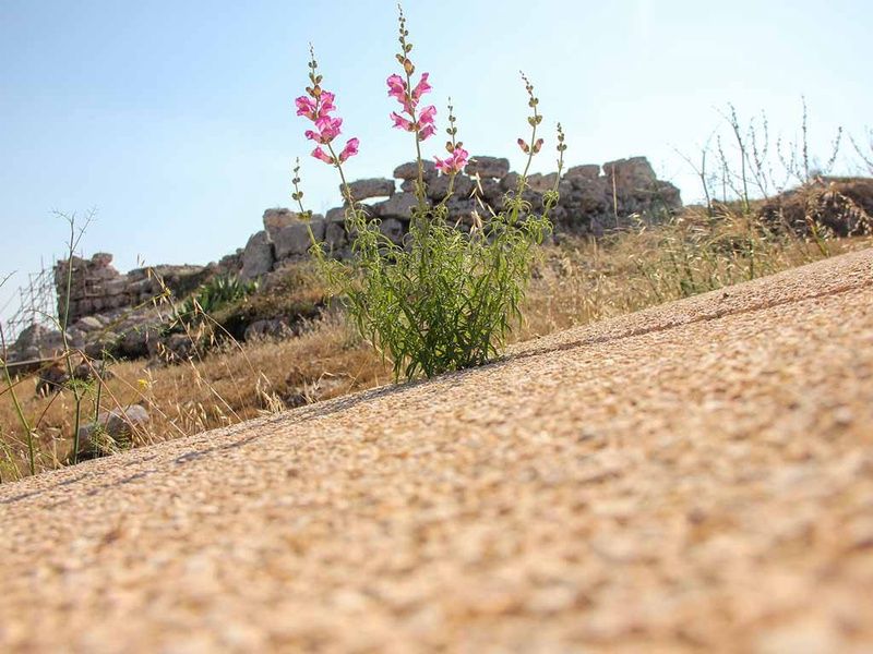 Échappée belle à Malte - Circuit entre solos pas cher photo 5