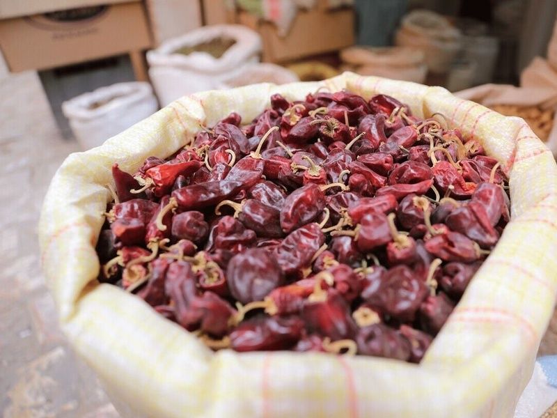 Circuit Ghardaïa, chef-d'oeuvre du Sahara pas cher photo 6