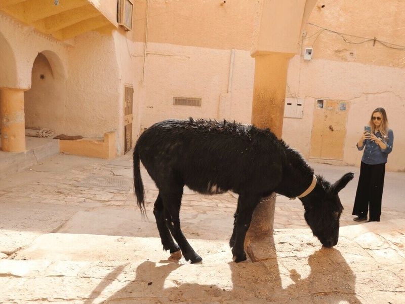 Circuit Ghardaïa, chef-d'oeuvre du Sahara pas cher photo 14