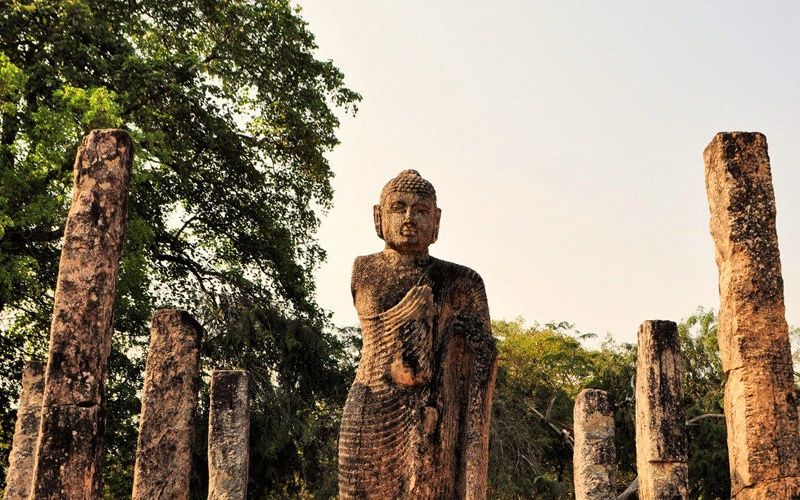 Circuit Découvertes Sri lankaises et extension Kappa Club Anantaya 5* pas cher photo 9