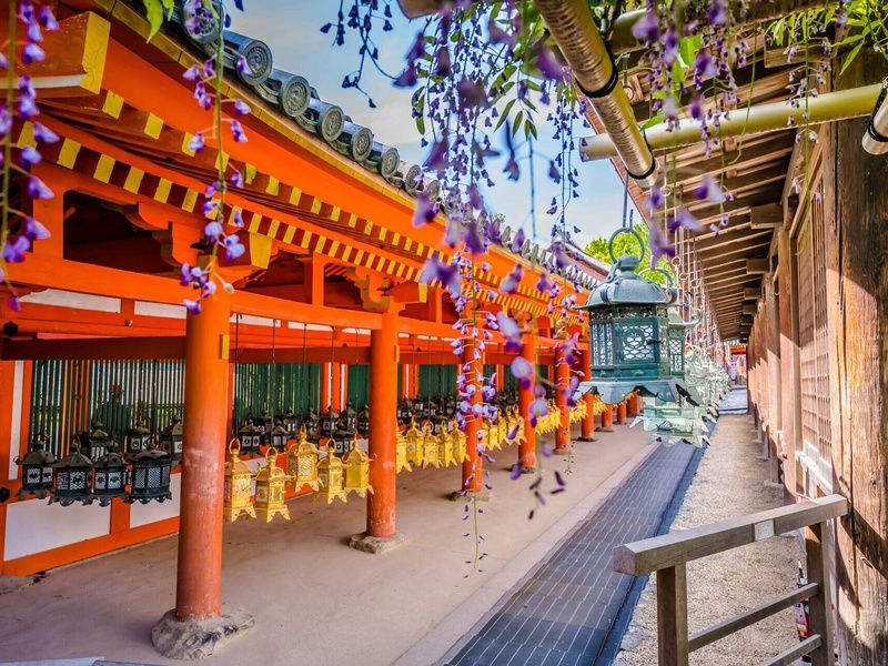 Japon des traditions - Circuit individuel pas cher photo 18