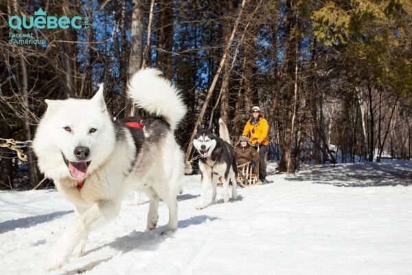 Circuit Magie Blanche Au Canada By Club Coralia pas cher photo 1