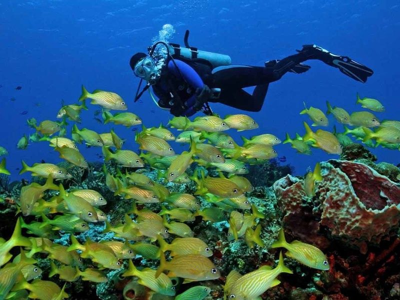 Circuit Balade Yucatèque pas cher photo 5