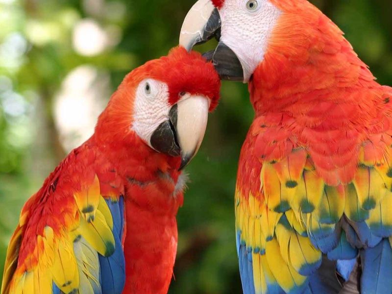 Circuit Balade Yucatèque pas cher photo 9