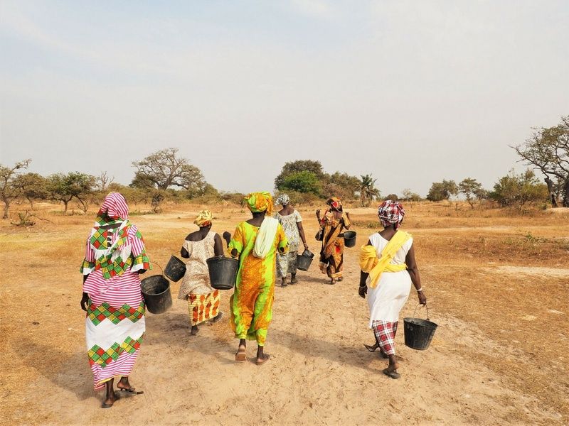 Circuit Chez les femmes du delta du Saloum pas cher photo 1