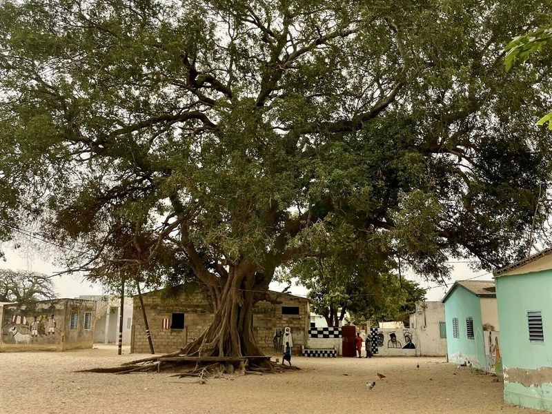 Circuit Chez les femmes du delta du Saloum pas cher photo 5