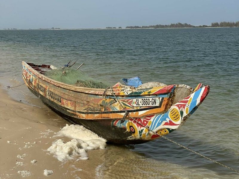 Circuit Chez les femmes du delta du Saloum pas cher photo 9