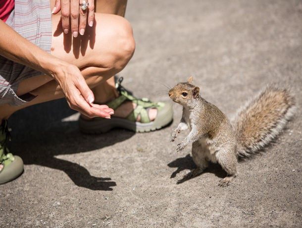 Circuit Fenêtre sur l'Est Canadien pas cher photo 22