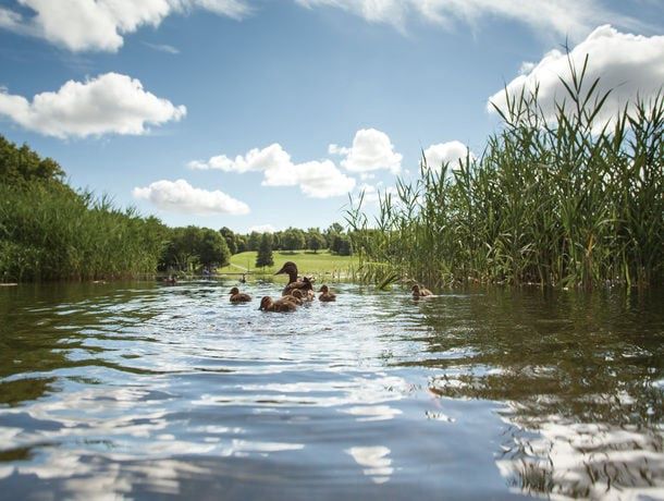 Circuit Fenêtre sur l'Est Canadien pas cher photo 23