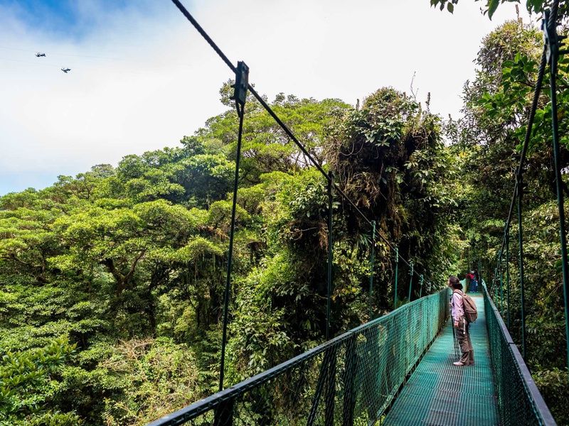 SUR LA ROUTE DU COSTA RICA ET MONTEVERDE (Autotour) pas cher photo 1