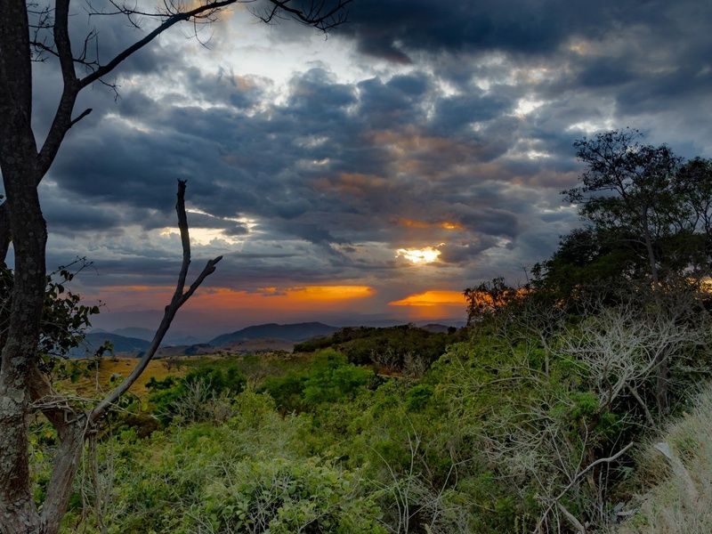SUR LA ROUTE DU COSTA RICA ET MONTEVERDE (Autotour) pas cher photo 2