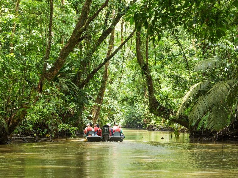 SUR LA ROUTE DU COSTA RICA ET MONTEVERDE (Autotour) pas cher photo 4