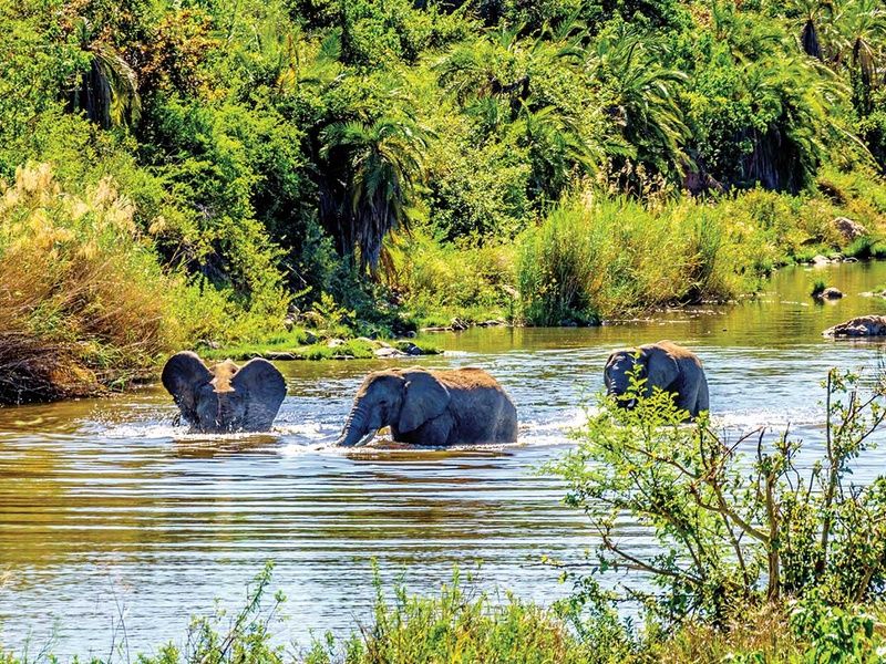 Circuit Canyons et safaris pas cher photo 8