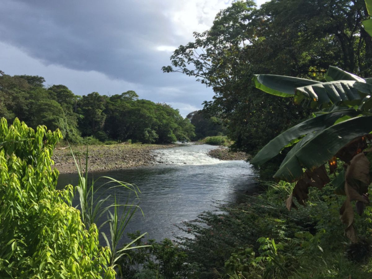 Balade en liberté - Forêt tropicale et plage ensoleillée pas cher photo 2