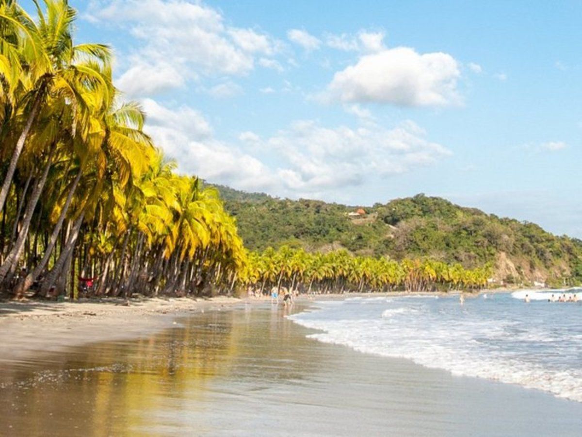 Balade en liberté - Forêt tropicale et plage ensoleillée pas cher photo 7